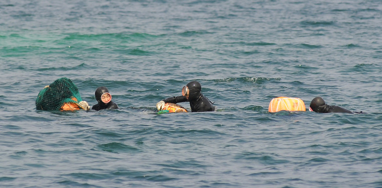 済州島 海女(ヘニョ) ― 海とともに生きる女性たち
